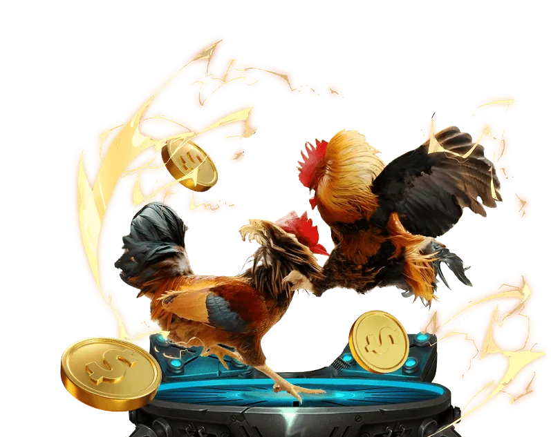 Cá cược có trách nhiệm than quay 247.vip